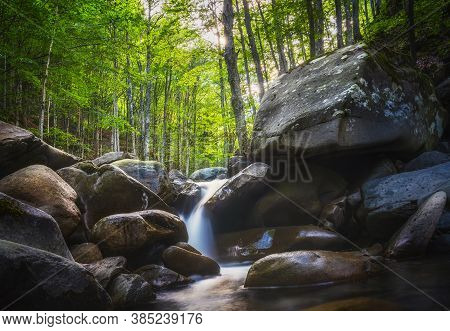 Abetone, Stream Waterfall Inside A Fir And Beech Forest. Apennines, Tuscany, Italy.