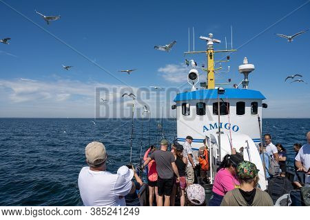 Malmo, Sweden - August 6, 2020: People On A Fishing Trip In Search Of Codfish And Mackerel. Blue Oce