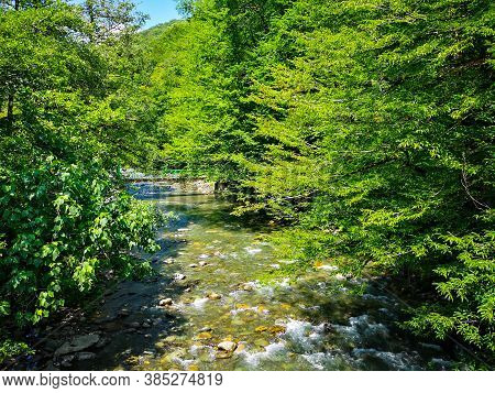 Mountain Rocky River Overgrown With Greenery. Nature In Summer