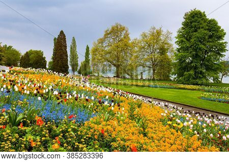 Juicy Colorful Flowers In Mainau Island Near Constance Lake, Germany