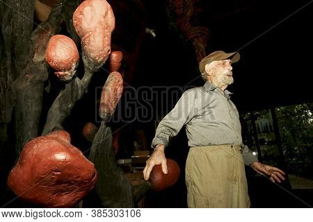 Nova Vicosa, Bahia / Brazil - October 27, 2008: Frans Krajcberg, Artist And Environmentalist, Is See
