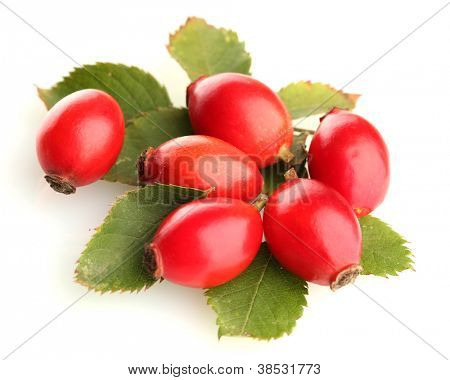 กุหลาบทันสุกบนใบสีเขียว แยกต่างหากบนพื้นสีขาว