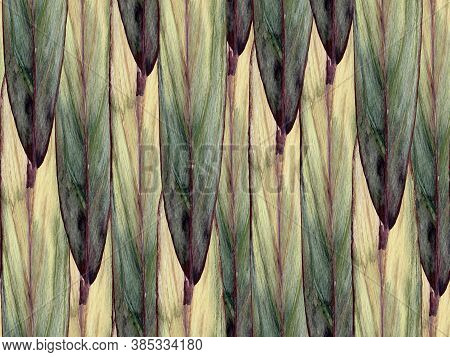 Exotic Hawaiian Design. Upholstery Texture. Watercolor Leaves Seamless Pattern.  Greyscale And Tranq