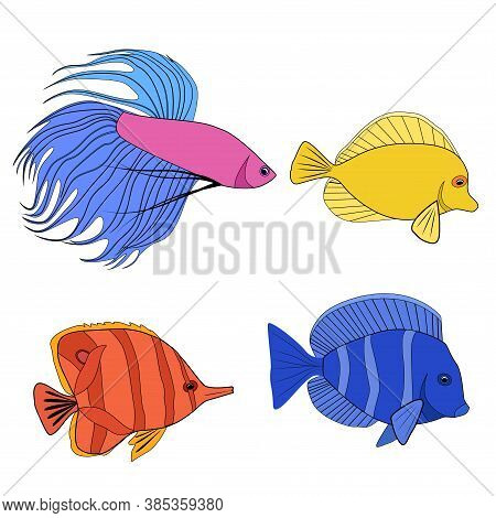Set Of Color Contour Different Tropical Fish. Fish Rooster, Pennant Fish, Royal Angel. Marine Inhabi