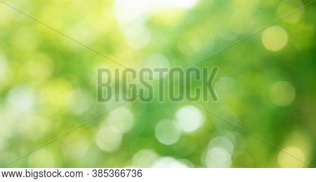 Blurred Bokeh Of Tree Garden In Morning Background,spring Summer Season Or Green Concept Ideas