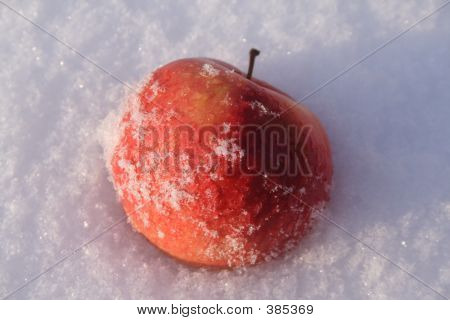 Apple auf Schnee
