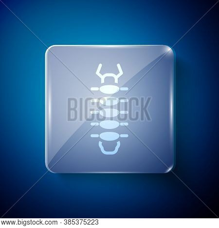 White Centipede Insect Icon Isolated On Blue Background. Square Glass Panels. Vector