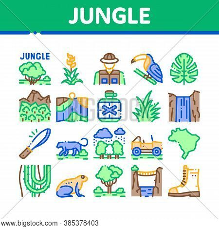 Jungle Tropical Forest Collection Icons Set Vector. Jungle Tree And Animal, Waterfall And Wood, Flow