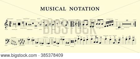 Set Of Vector Musical Notes. Music Notation.