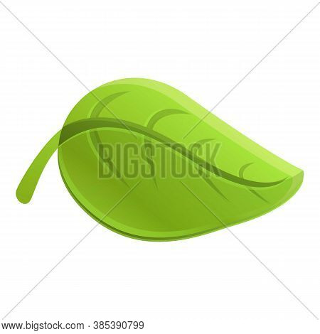 Basil Relish Icon. Cartoon Of Basil Relish Vector Icon For Web Design Isolated On White Background
