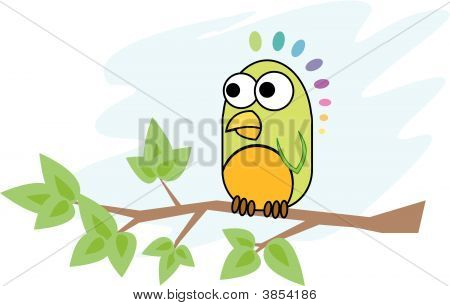 小鹦鹉