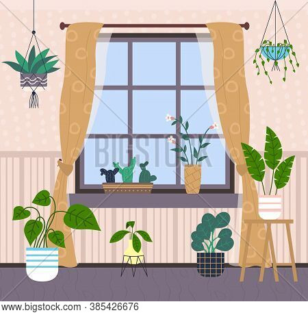 Window, Light Brown Curtains With Pattern, Many Potted Plants, Hanging Flowers, Cache-pot, Cacti On 