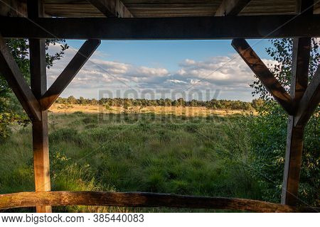 Landscape In The Dutch Twente Countryside, With A View From A Hut To The Summer Heather And Grass Fi