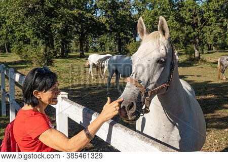 Lipica, Slovenia - September 8, 2020: Lipica Is One Of The Main Tourist Centers Of Slovenia's Karst 