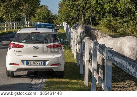 Lipica, Slovenia - September 8, 2020: Lipica Is One Of The Main Tourist Centers Of Slovenia's Karst 