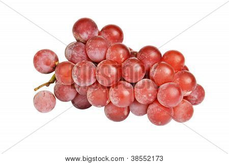 Uva rossa