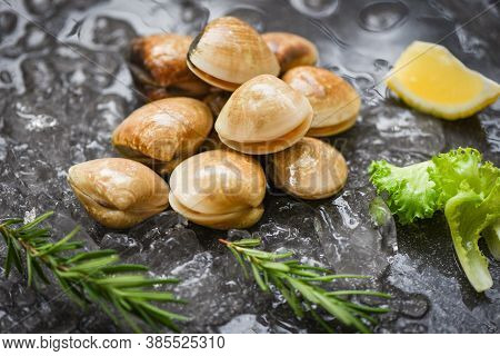 Seafood Shellfish On Ice Frozen At The Restaurant / Fresh Shell Clam With Herb Ingredients For Salad