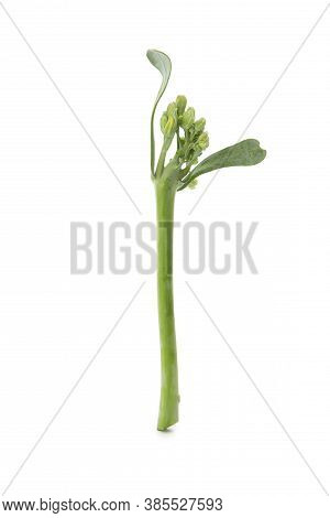 Fresh Green Broccolini Isolated On White Background
