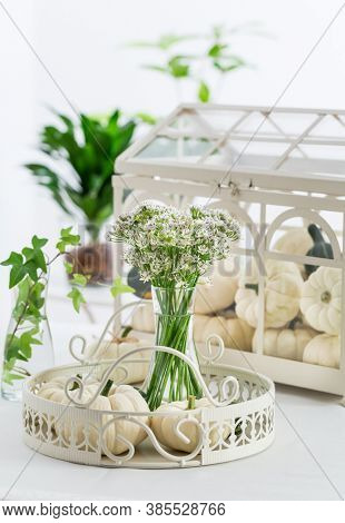 Thanksgiving table decoration with white pumpkins and sweet garlic flowers (Tulbaghia violacea)