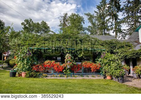 Beautiful Summer Garden With Conifer Trees, Green Grass And Evening Sun. Cut Grass, Professional Lux