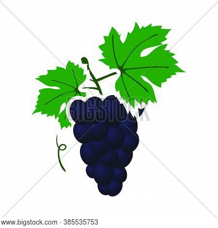 Icon Of Grape In Ui Colors. Flat Color Design. Vector Illustration.