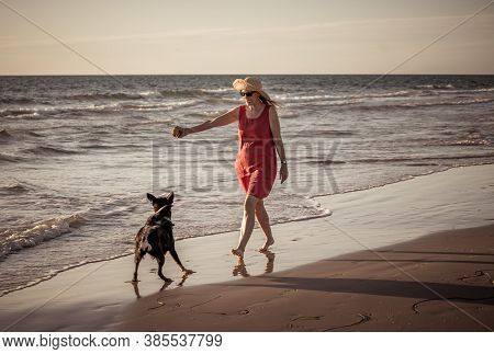 Happy Attractive Mature Woman With Her Pet Walking On Friendly Dog Beach At Sunset