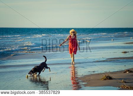 Happy Attractive Mature Woman With Her Pet Walking On Friendly Dog Beach At Sunset