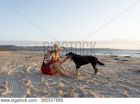 Happy Attractive Mature Woman With Her Pet Walking On Friendly Dog Beach At Sunset