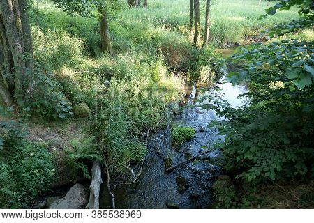 Stream In The Wood In Central Europe