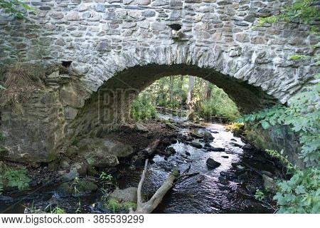 Stream In The Wood In Central Europe
