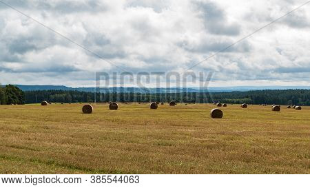 Czech Agricultural Landscape In Countryside