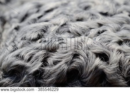 Hat Elements From Astrakhan Fur Closeup. Shallow Depth Of Field