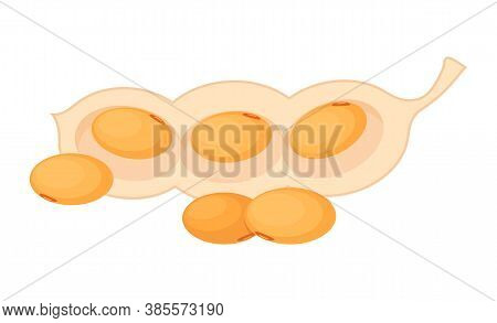 Peanut Poster In Cartoon Style, Inshell Peanuts, Fresh Bean Isolated On White Background. Pod Nut In