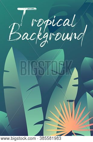 Cover Design With Lush Green Tropical Plants On An Abstract Background With Text, Colored Vector Ill