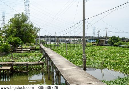 Close Up Pathway Near Canal In Country Thailand