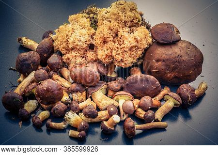 Some Forest Mushroom In A Frying Pan