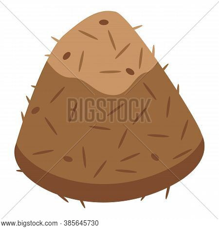 Ant House Icon. Isometric Of Ant House Vector Icon For Web Design Isolated On White Background