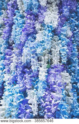 Close Up Picture Of Small White Blue Purple Flowers, As Vivid Background With Empty Space Fro Text. 