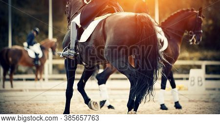Equestrian Sport.the Leg Of The Rider In The Stirrup, Riding On A Brown Horse. Dressage Of Horses In