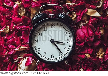 Alarm Clock With Dried Petals.wilting Concept. Copy Space