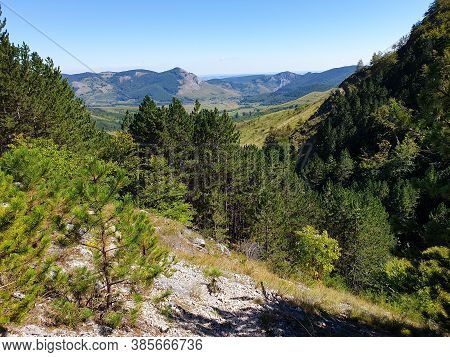 Cheile Plaiului Gorges Natural River Area. Trail View In Pine Forest Cluj County, Transylvania, Roma