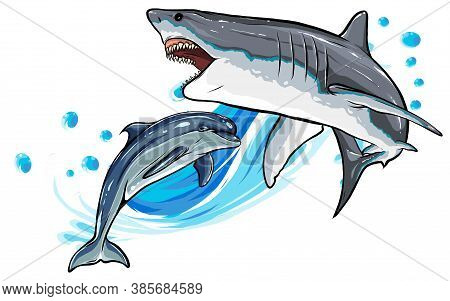 Illustration Dolphin And Shark. Funny Cartoon And Vector Isolated Characters.