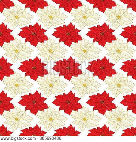 Seamless Christmas Pattern With Gold, Red Poinsettia On The White Background Design