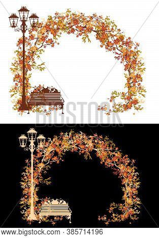 Autumn Tree Branches Arch In The Park With Empty Bench And Street Light - Fall Eason In The City Par