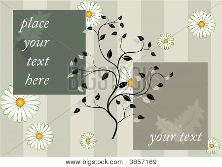 floral Background with zwei frames