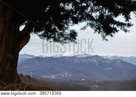 Beautiful Sprawling Wood And Mountain Panorama In Late Autumn Or Winter