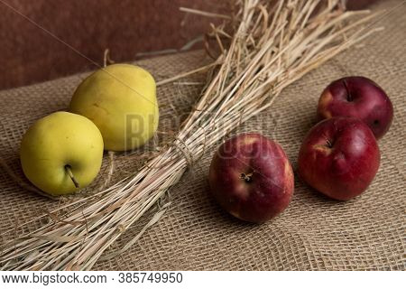 Still-life Painting With Apples And Herb. Autumn Harvest Illustration