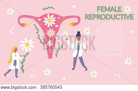 Two Female Doctors Collect Daisies For The Treatment Of The Female Reproductive System, Treatment Of