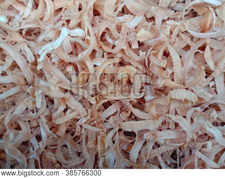 Beautiful Firewood Texture Background In Forest For Saw Mill