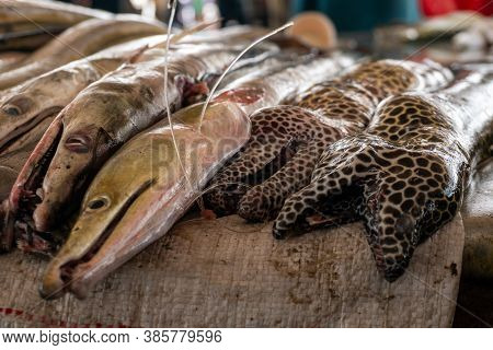 Moraenas On The Table In Dar Es Salaam. Morey Eel On Slab At Fish Market, Tanzania